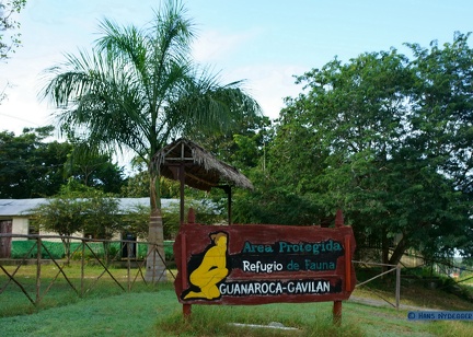 Refugop de Fauna Guanaroca-Gavilan