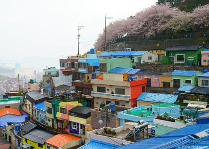 Busan: Gamcheon Culture Village
