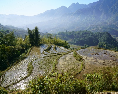 Trekking in Mường Hoa Valley