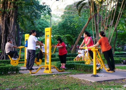 Gym in the park