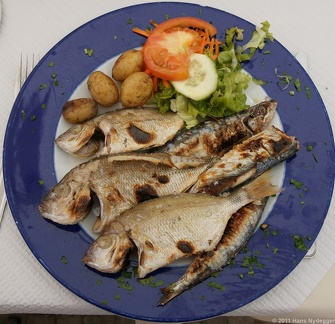 Faro: mista de peixe