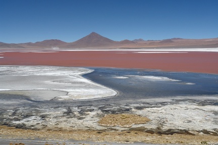 Laguna Colorada
