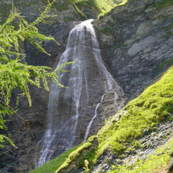 Weisstannen - Patöni Wasserfälle